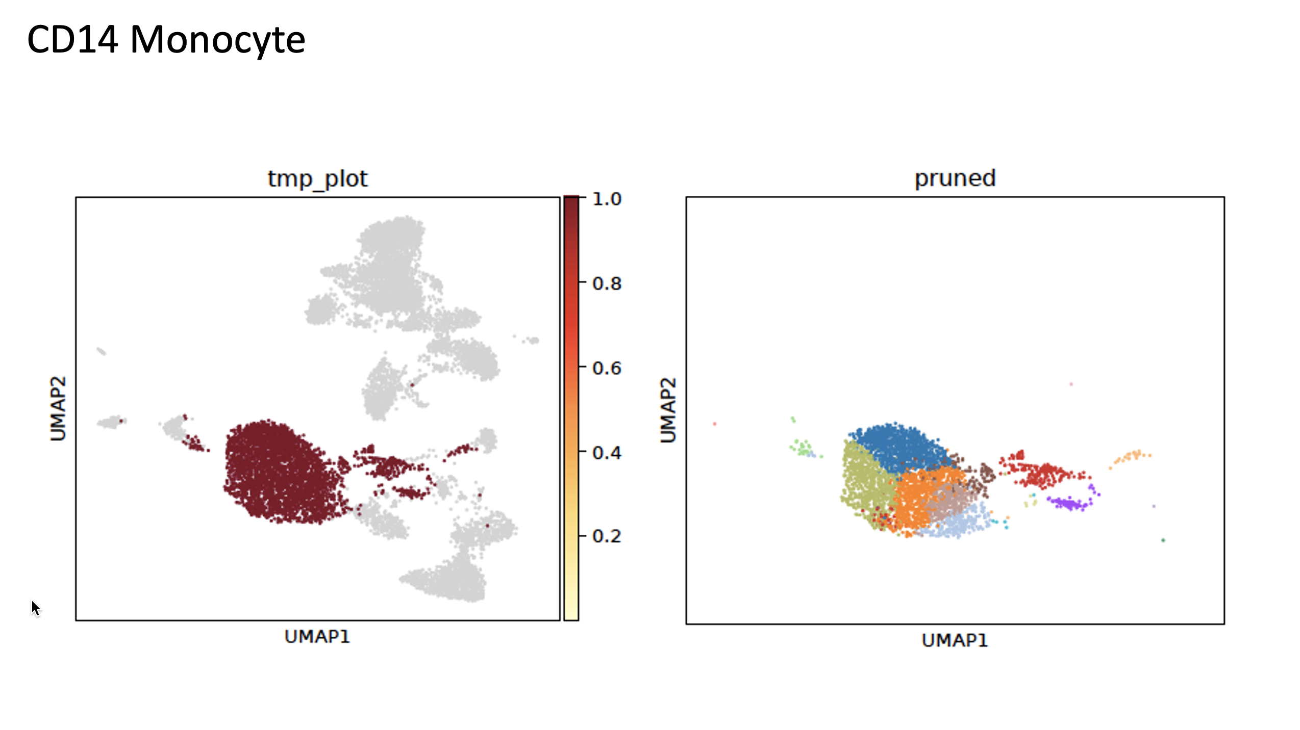 _images/mono_umap.png
