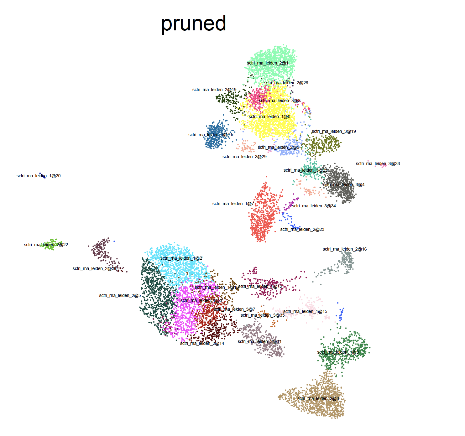 _images/pruned.png