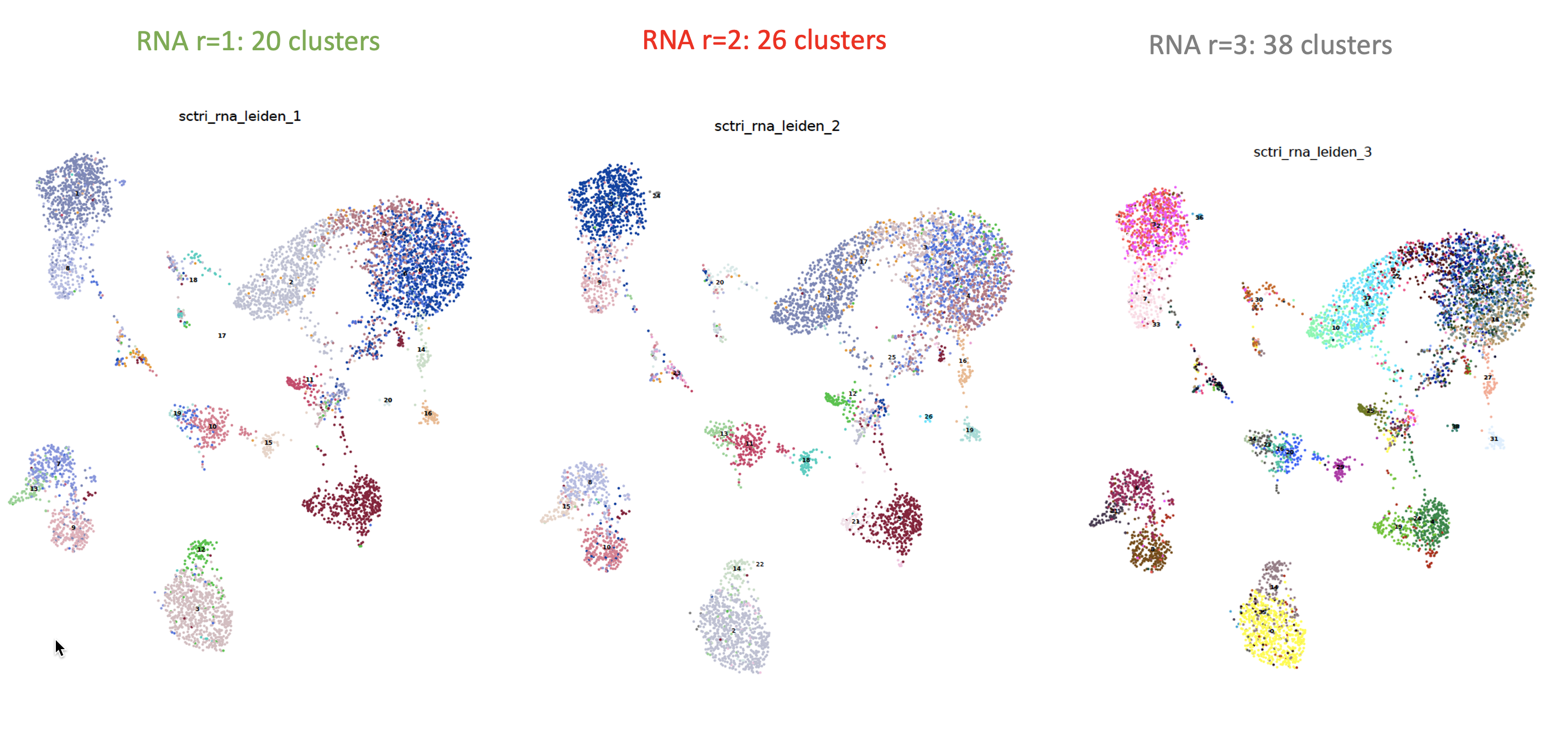 _images/rna3.png