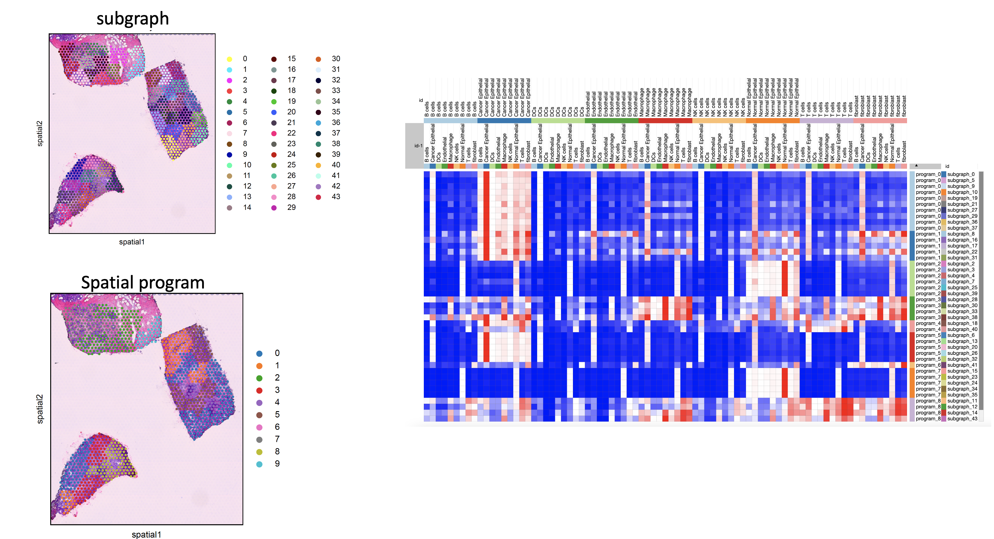 _images/spatial_program.png