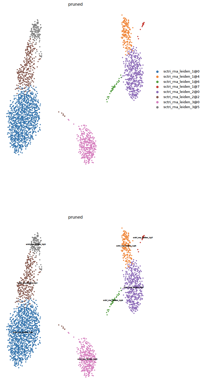 _images/umap_category.png